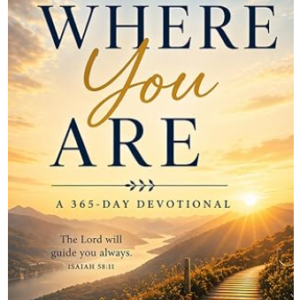 WHERE YOU ARE:  (Paperback)